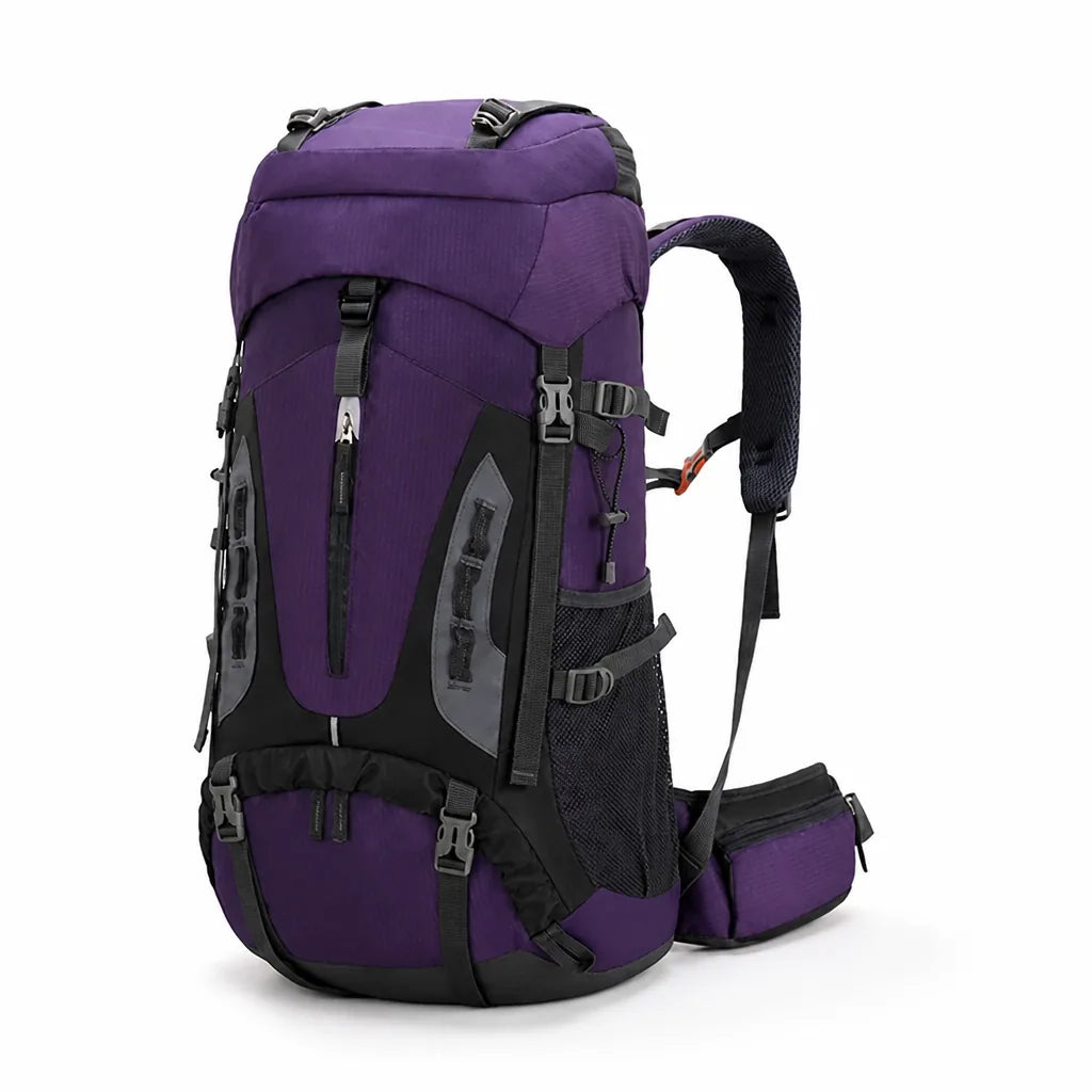 Padded Shoulder Straps And Hip Belt Backpack (60 L)
