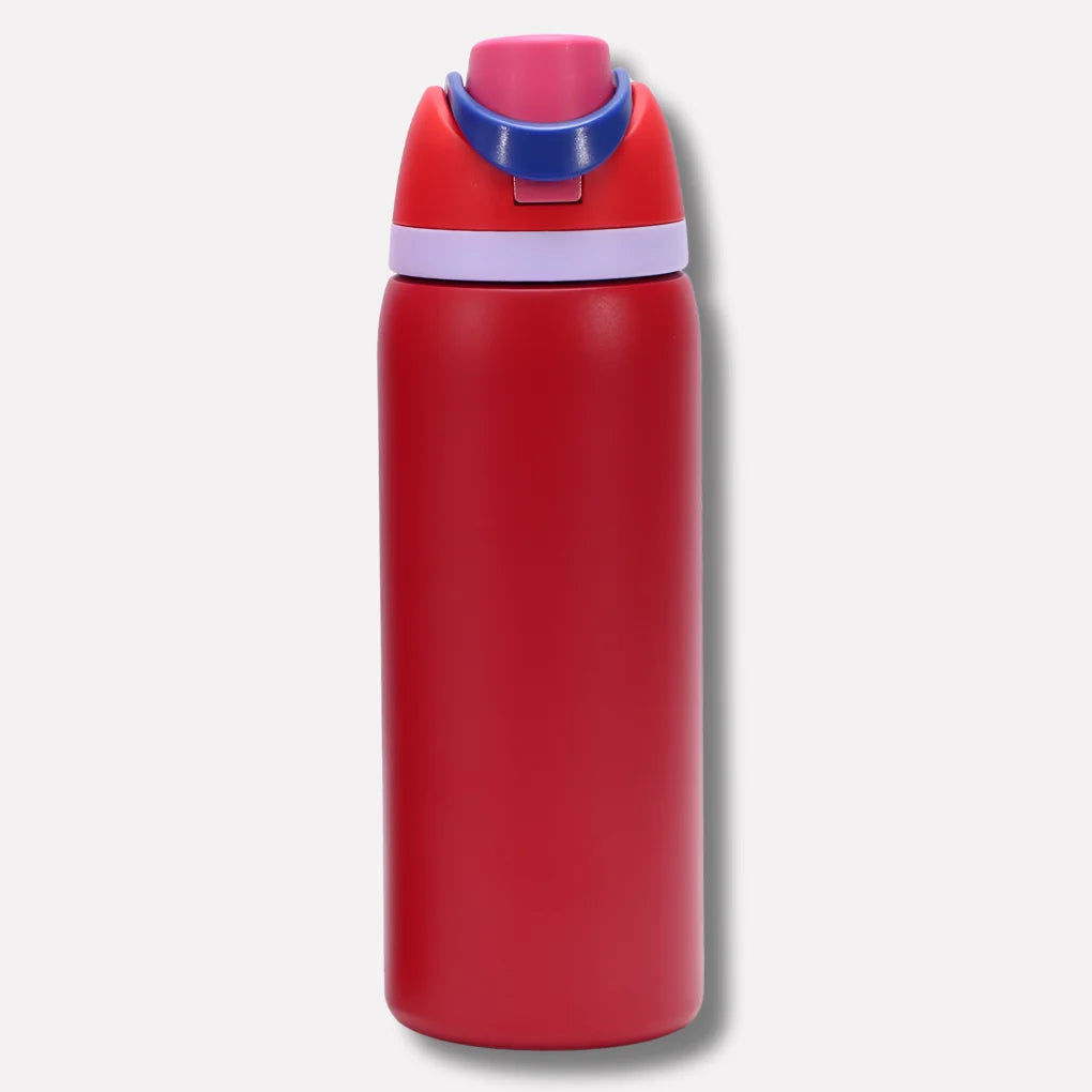Water Bottle Stainless Steel Double-Walled Leak-Proof Lid & Straw